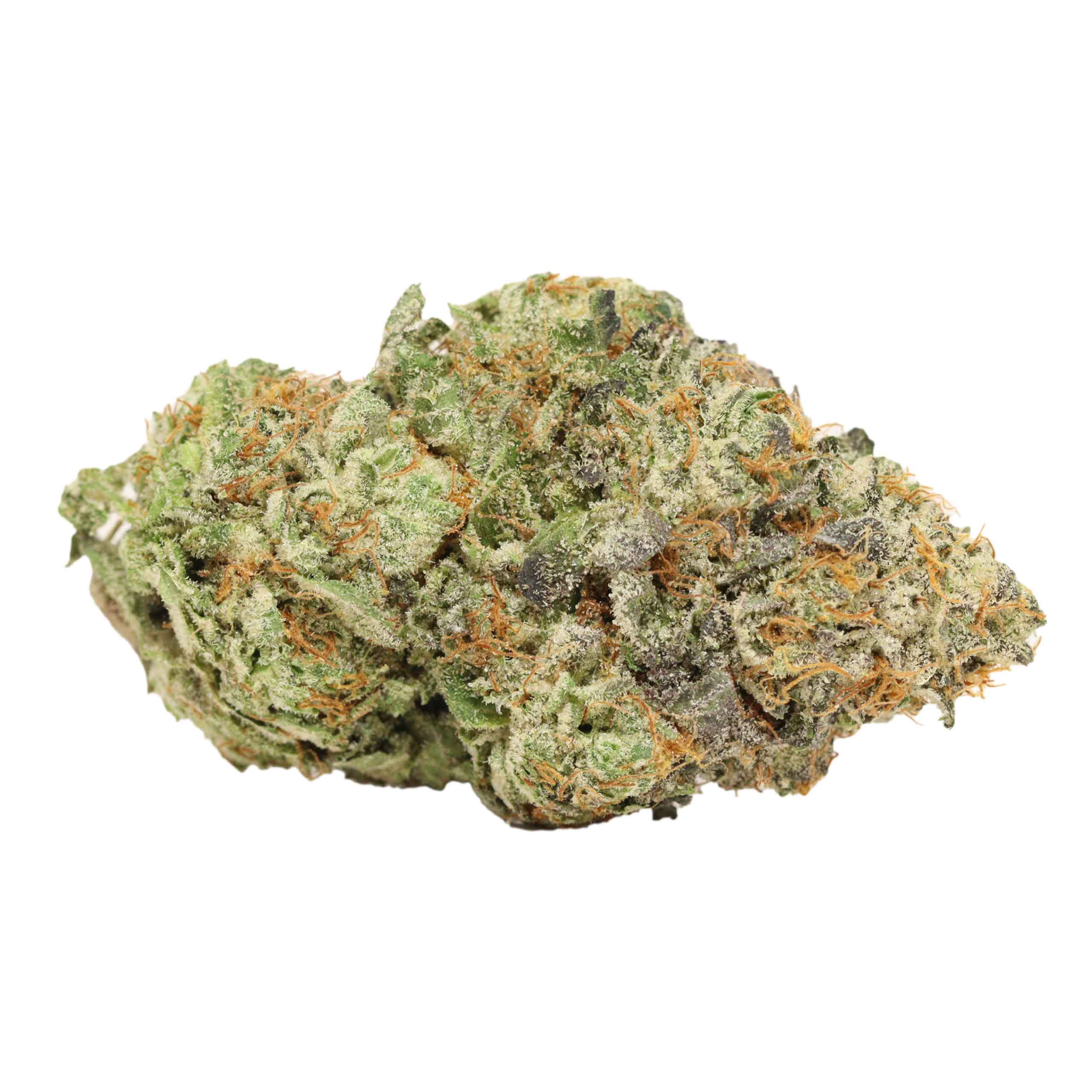 Ultimate Trainwreck - Image 2