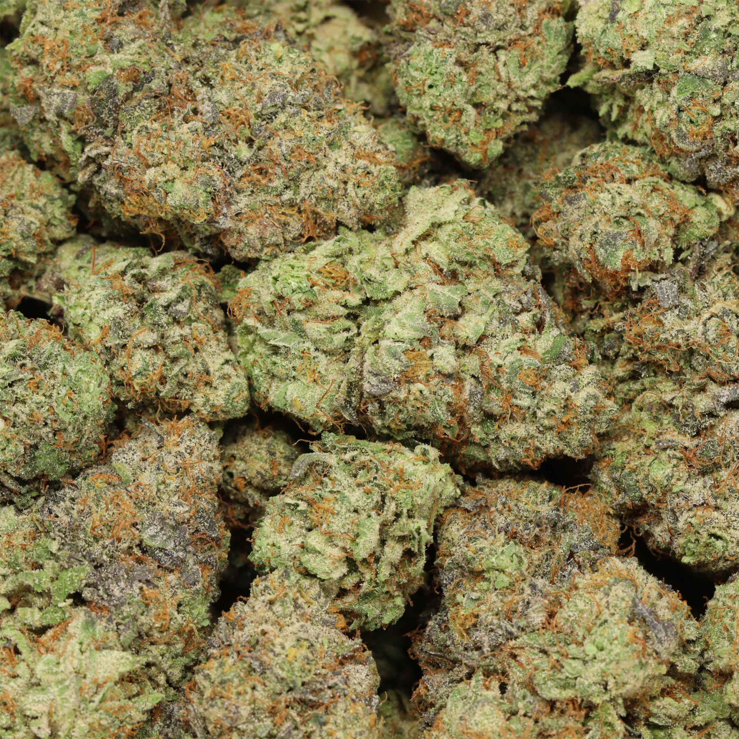 Ultimate Trainwreck - Image 3