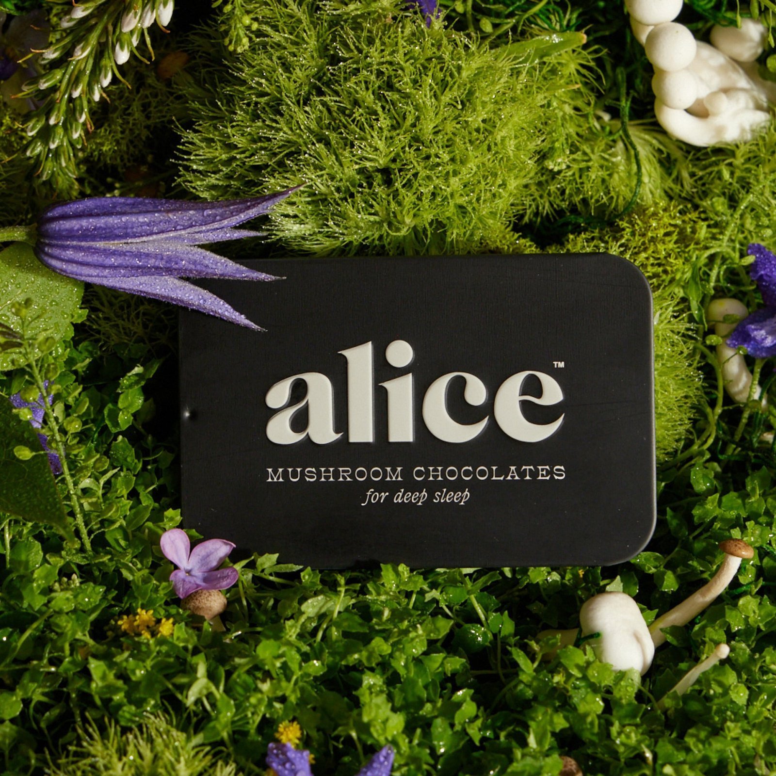 Alice Mushrooms NightCap – 2 Tins (32 Doses) - Image 3